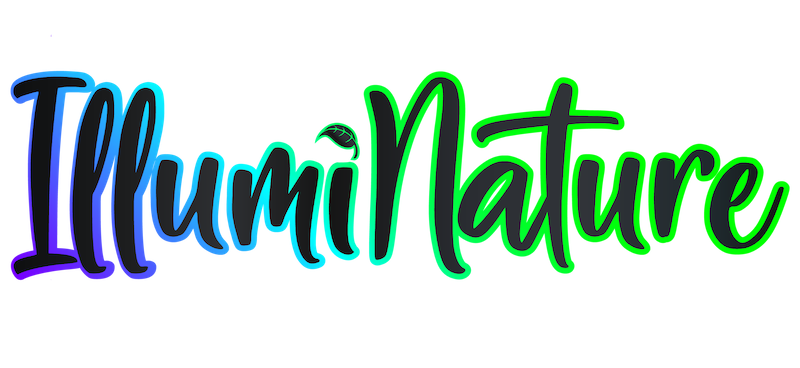 IllumiNature Logo IllumiNature Logo